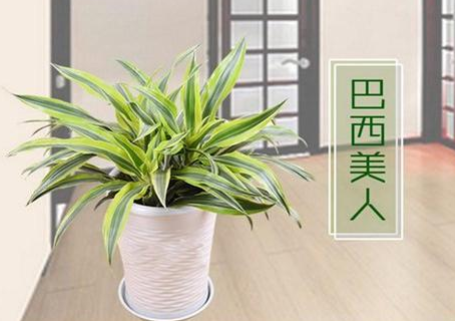 QQ截图20190812161111.png