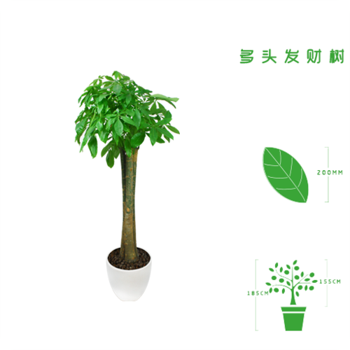 ABUIABAEGAAg8PaA4QUo2u7t7Qcw-gM4-gM.png
