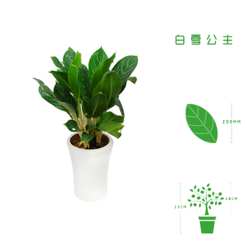 ABUIABAEGAAg6vaA4QUo54npxgIw-gM4-gM.png